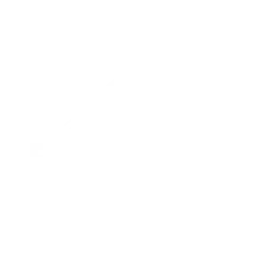 Boosted-Branding3-wh